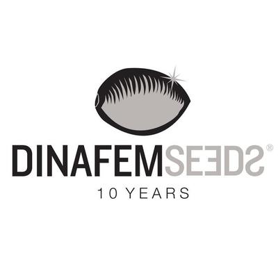 Dinafem Early Amnésia CBD Pack de 5 Graines (Feminized)