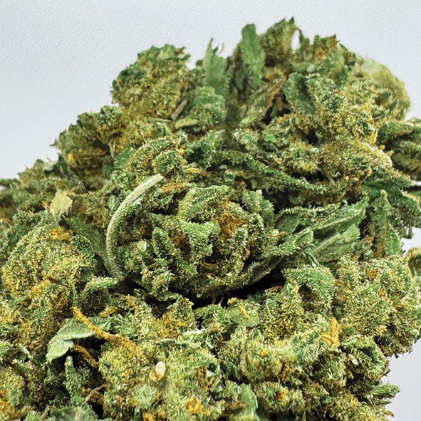 Green Crack CBN+