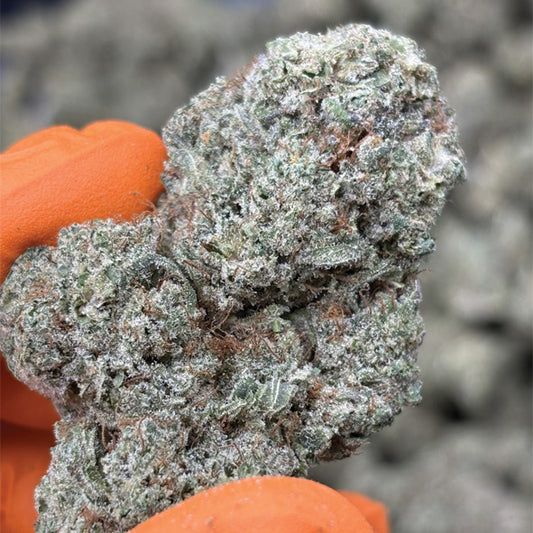 Crystal Snow CBD Premium | Fleur Californienne Indoor