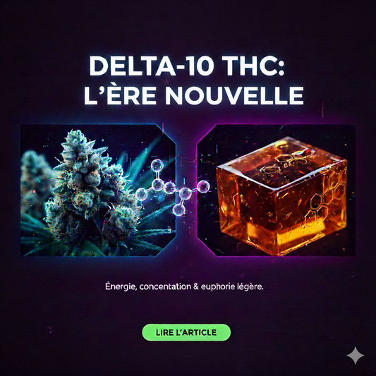 Delta-10 THC : Le nouveau venu du cannabis légal – Effets, Fleurs et Résines.