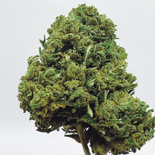 Green Crack CBN+