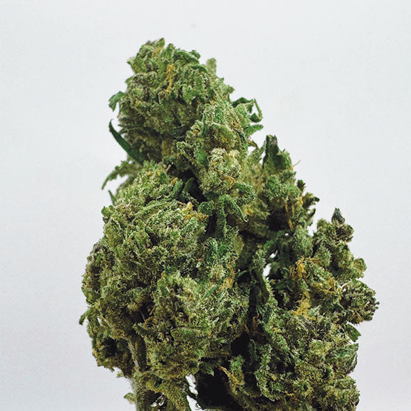 Zombie Kush CBN+