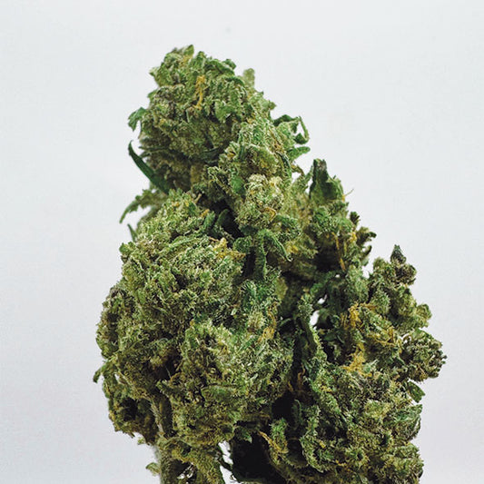 Zombie Kush CBN+