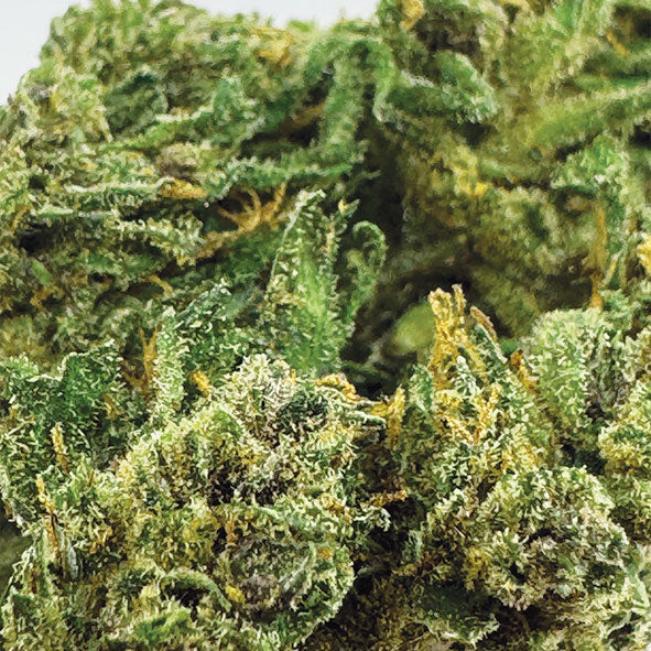 Zombie Kush CBN+
