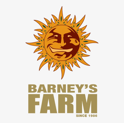 Glookies Barney's Farm Pack de 5 Graines (Feminized)