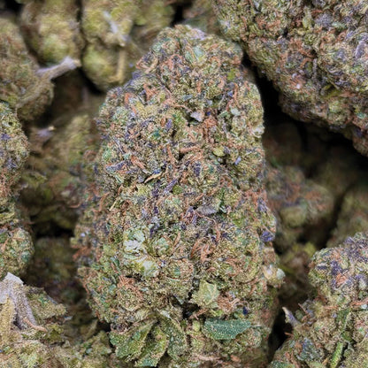 Biscotti US CBD | Fleur Indoor Premium - Origine Californie