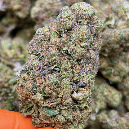 Biscotti US CBD | Fleur Indoor Premium - Origine Californie