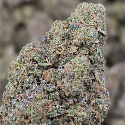 Biscotti US CBD | Fleur Indoor Premium - Origine Californie