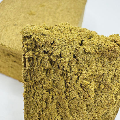 G13 Hash CBD