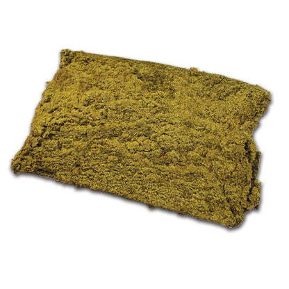 G13 Hash CBD