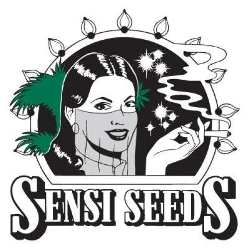 California Indica Sensi Seeds Pack de 5 Graines (Feminized)