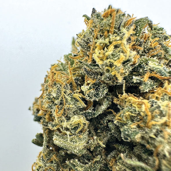 RS11 x Blue Dream CBD | Fleur Californienne Indoor Premium