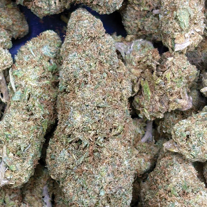 Fleur CBD Runtzosa | Runtz x Mimosa - California Indoor Premium