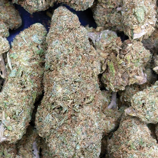 Fleur CBD Runtzosa | Runtz x Mimosa - California Indoor Premium