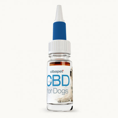 Huile CBD pour chiens Cibapet 2%