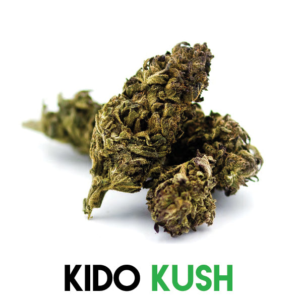 Kido Kush CBD